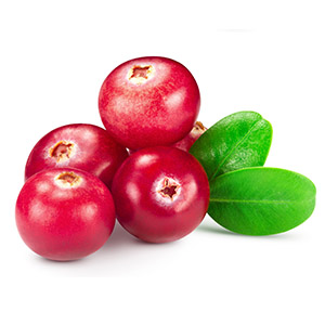 Cranberry fruit freeze-dried extract