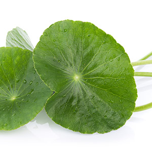 Organic gotu kola