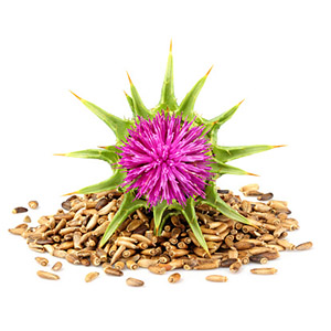 Organic milk thistle