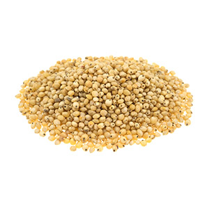 Organic sorghum seed / GLUTEN-FREE